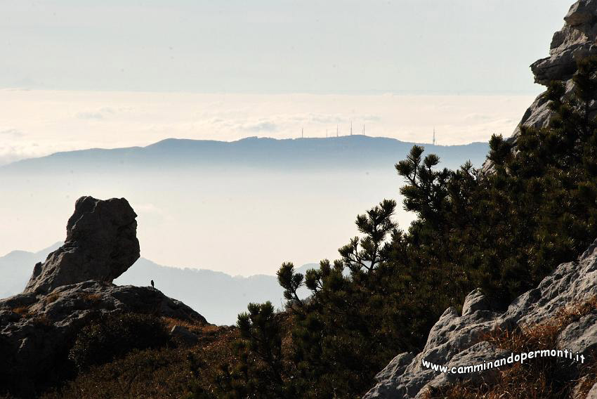 09 13372 Valcava.jpg